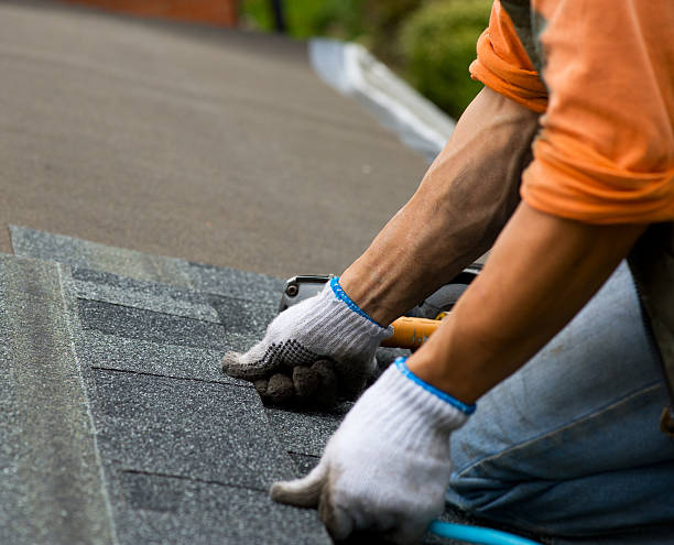 Professional Roofing Contractor in San Benito, TX